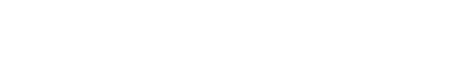 EXPOFLY - Logo all white